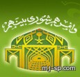 “مجلس الشورى” يرفض تحويل رعاية الشباب إلى وزارة