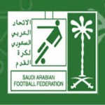 الروضة والمحيط يصعدان لممتاز شباب اليد