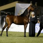 (بالصور) الملكي يحقق بطولة لاعب نادي الوشم السابق عبدالرحمن بن شلال السويلم رحمه الله