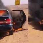 مشرف الصقور يتعرض للرباط الصليبي