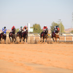 الأهلي يعسكر في العين ويخوض لقاءين وديين