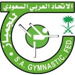 الاهلي السعودي يواجه الاهلي البحريني في خليجية الطائرة