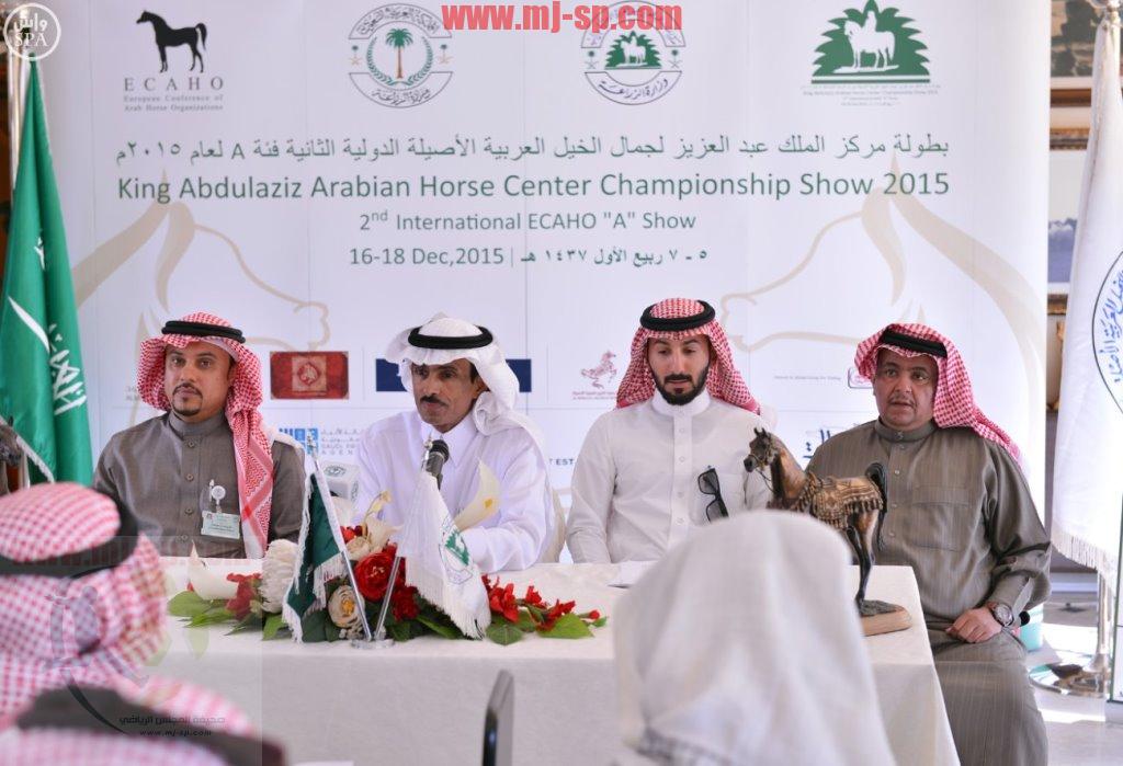 327 جوادًا تتنافس على بطولة الخيل العربية غداً بديراب