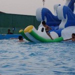 نهائي كأس التنمية غداً بحضور فهد المطوع