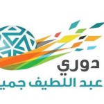منظم البطولة للمجلس الرياضي (القادمة أقوى وأغلى)…الرعد بطلا لدورة (صيفية بلا حوادث) في النماص‎