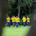 النصر يوافق على إعارة «شراحيلي»