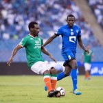 الصقور يتمرن في رمال تبوك