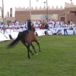 القادسية يعاود تدريباته و يواجه الفتح ودياً