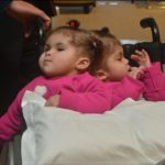 بـ #الصور.. ضبط 600 ألف حبة « #كبتاجون» مخبأة داخل شاحنة أعلاف (صور)