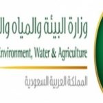 #التمرين_السعودي_السوداني ” #الفلك2″ يواصل فعـالياته