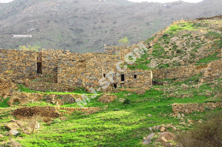 الشاعر الأكرمي يروي حكاية “تلاع”: تأتي السحابة في شوق تغازله.. وتستهيم إذا ما قبلت فاه