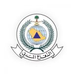 ابتداء من يوليو 2018.. 800 ريال شهريًا كحد أدنى يتكلفها رب الأسرة #المقيم