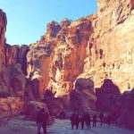 الإطاحة بعمالة أثناء محاولتهم ذبح جمل مريض لبيعه في #الباحة