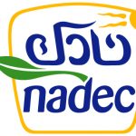 تصادم مركبتين يقتل أربعة ويصيب مثلهم شرق #القريات