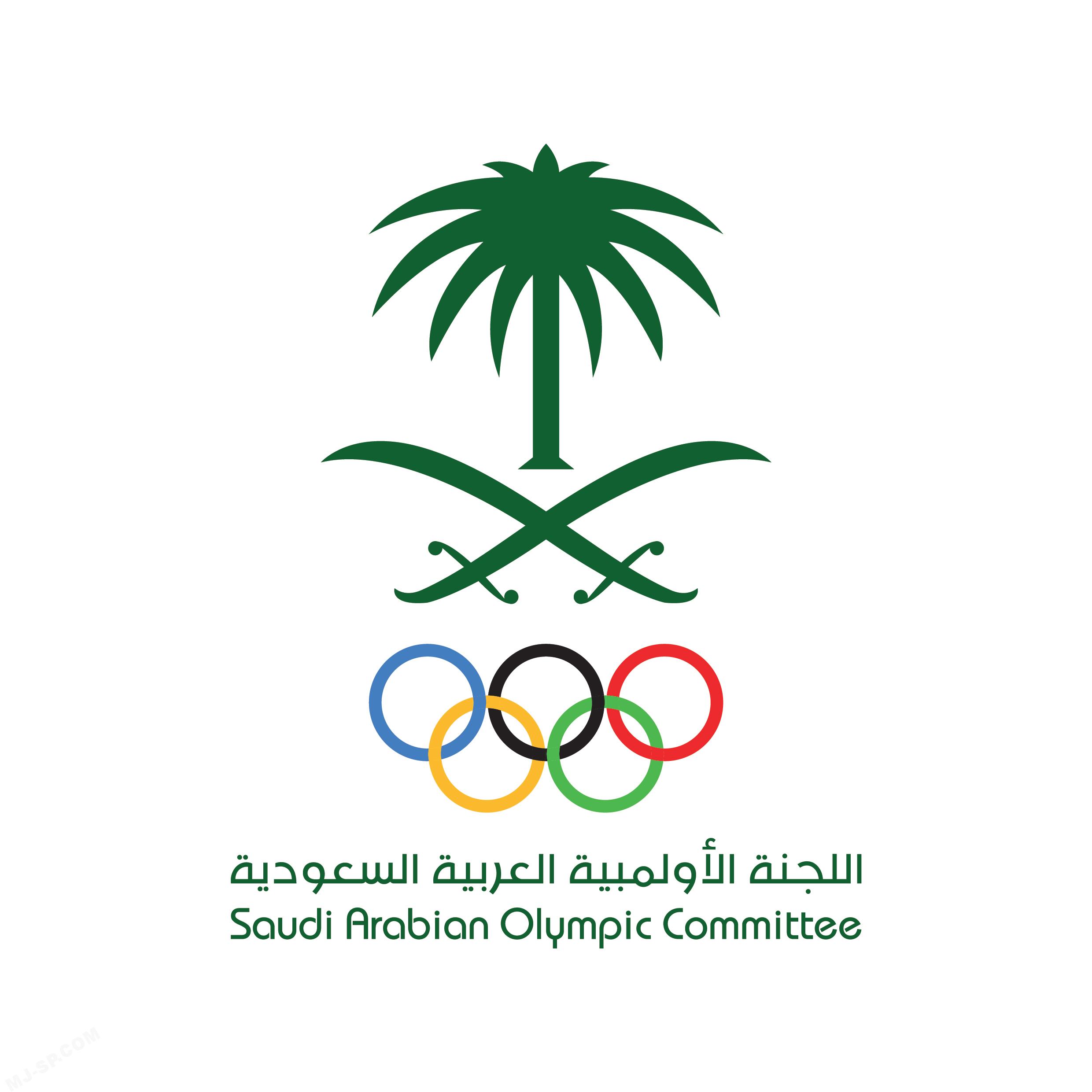 SAOC LOGO