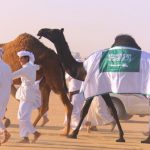 قطار انتصارات الهلال يتعطل أمام الوحدة ويتذوق أول هزيمة في مشوار الدوري (فيديو وصور)