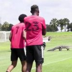 “مينيز” يجهز لاعبي “النصر” بخطتين لمباراة “السد”