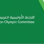 القبض على 12 شخصاً بسبب العنصرية ضد لاعب توتنهام “سون”