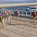 الفتح يواصل اعداده للاتحاد.. والدحيم يدخل التأهيلي