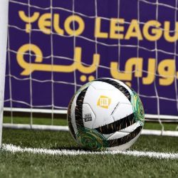 تعرّف على جميع صفقات أندية دوري روشن 2024-2025