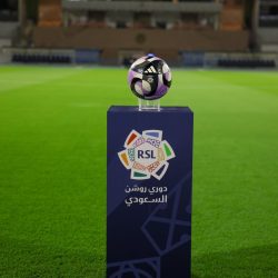 الأهلي يتوصل لاتفاق لضم نجم منتخب إنجلترا إيفان توني