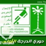 المعيدي والعوبثاني يمثلان #السعودية باجتماعات #الطب_الآسيوية