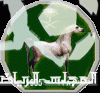 بطولة المملكة الدولية تنطلق الاربعاء
