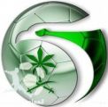 المنتخب المدرسي يكسب القطري بثلاثية نظيفة