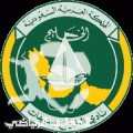هجر يواصل الصدارة برباعية في الربيع