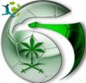 منتخب الشباب يستعد للبطولة العربية في الطائف