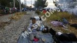 ارتفاع عدد ضحايا الصراع السوري من اللاجئين الفلسطينيين إلى 3424 لاجئًا بعد إعدام 84 ميدانيًا