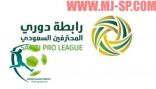 «المحترفين» تجهز لائحة تنظيمية لأندية دوري جميل