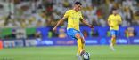 النصر.. فطريات جلدية تعطل الغنام